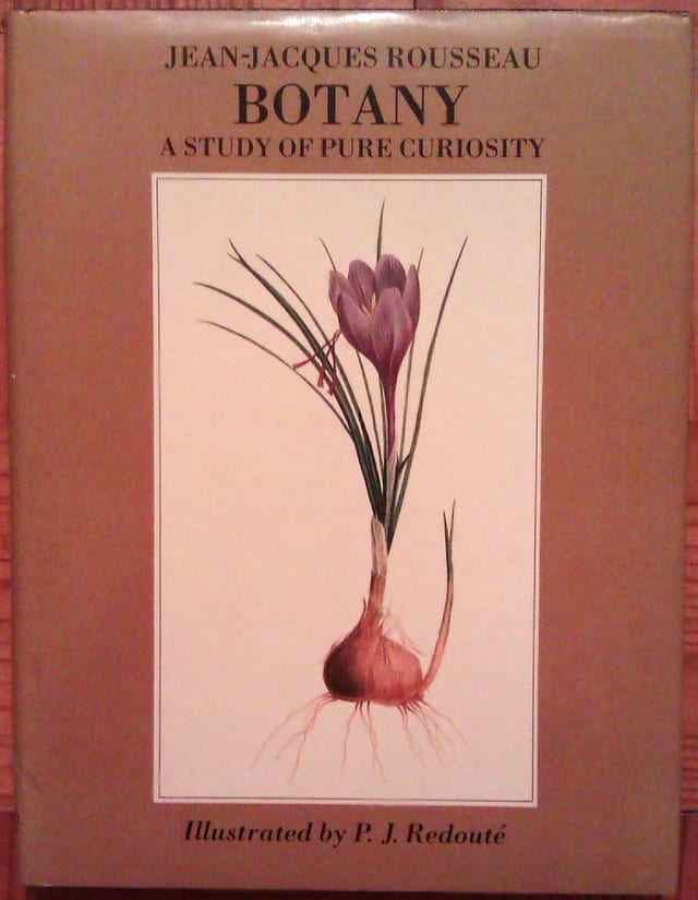 Botany, a Study of Pure Curiosity Botanical Letters and Notes Towards a Dictionary of Botanical Terms