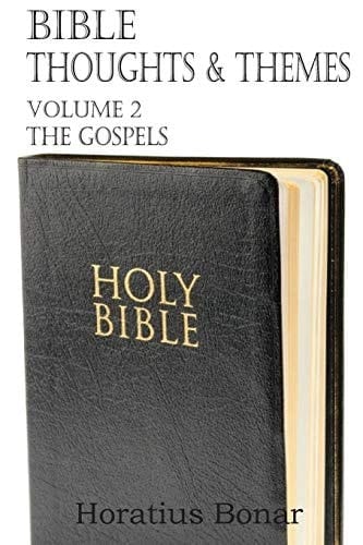 Bible Thoughts and Themes Volume 2 the Gospels